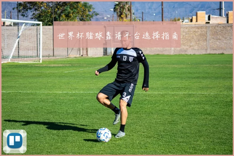 世界杯赌球靠谱平台选择指南