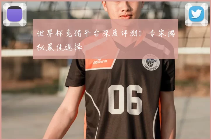 世界杯竞猜平台深度评测：专家揭秘最佳选择