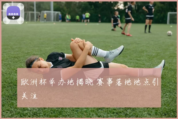 欧洲杯举办地揭晓 赛事落地地点引关注