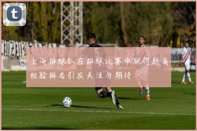 上海排球队在排球比赛中取得新高经验排名引发关注与期待