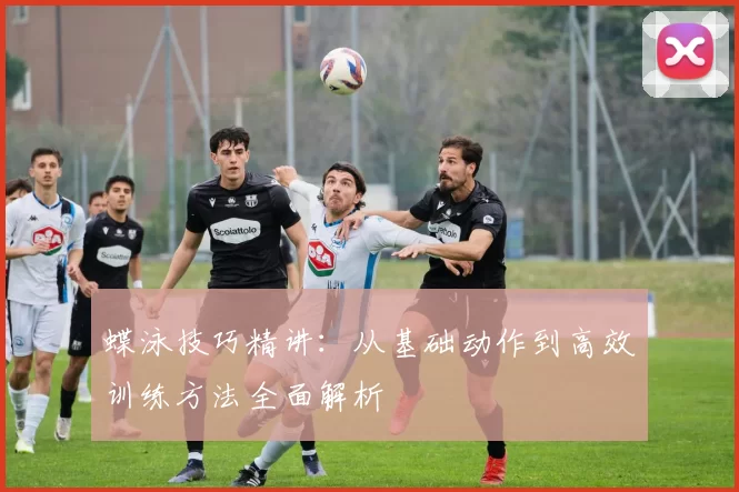 蝶泳技巧精讲：从基础动作到高效训练方法全面解析