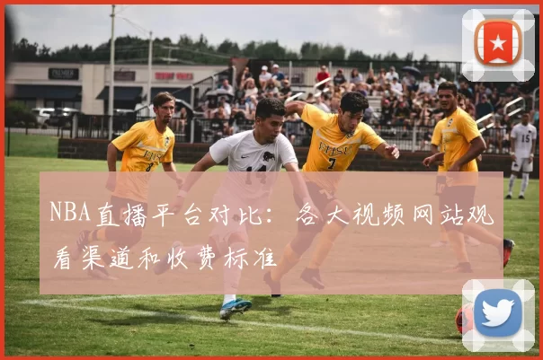 NBA直播平台对比：各大视频网站观看渠道和收费标准