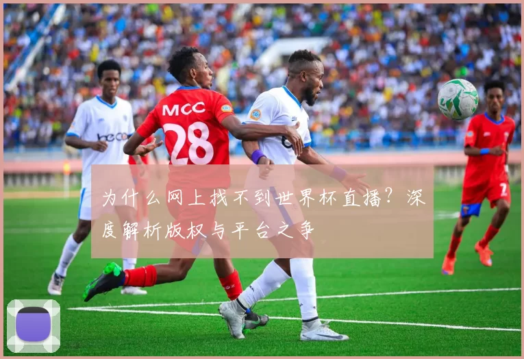 为什么网上找不到世界杯直播？深度解析版权与平台之争