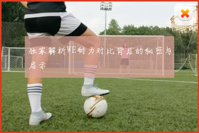 独家解析WE耐力对比背后的秘密与启示