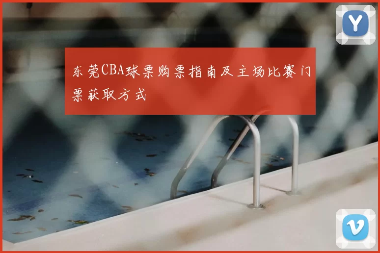 东莞CBA球票购票指南及主场比赛门票获取方式