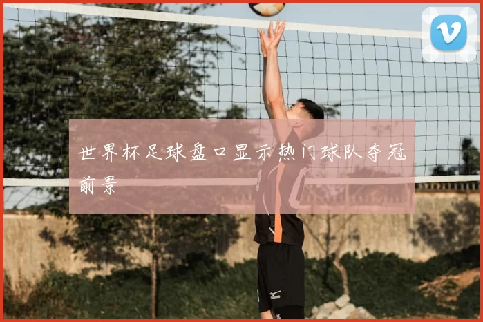 世界杯足球盘口显示热门球队夺冠前景