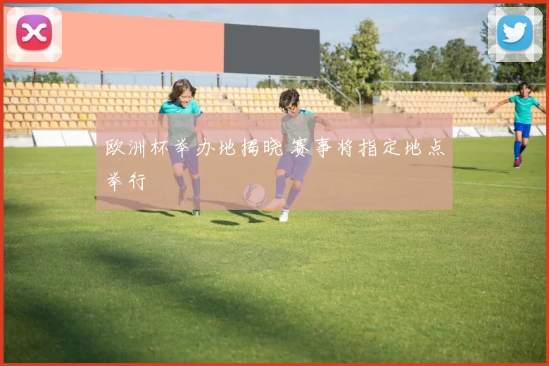 欧洲杯举办地揭晓 赛事将指定地点举行