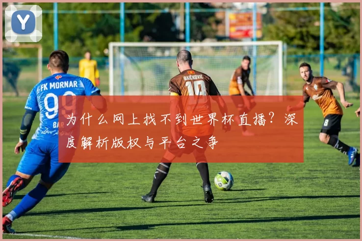 为什么网上找不到世界杯直播？深度解析版权与平台之争