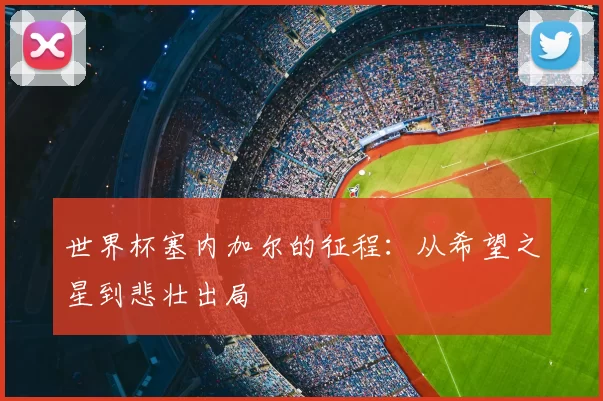 世界杯塞内加尔的征程：从希望之星到悲壮出局