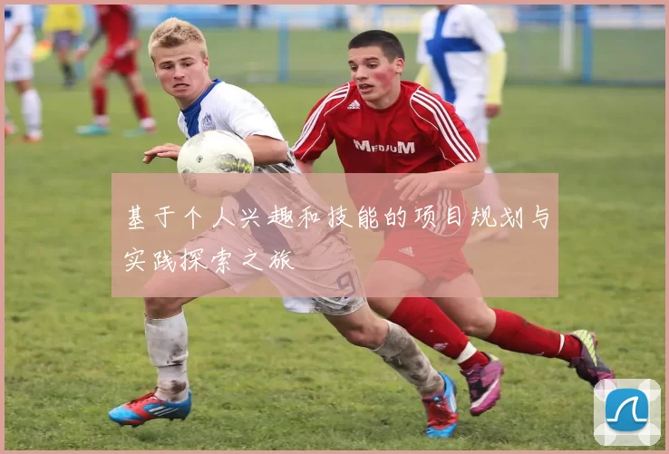 基于个人兴趣和技能的项目规划与实践探索之旅