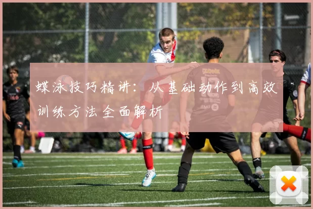 蝶泳技巧精讲：从基础动作到高效训练方法全面解析