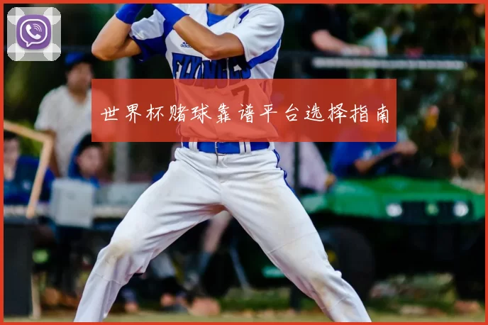 世界杯赌球靠谱平台选择指南