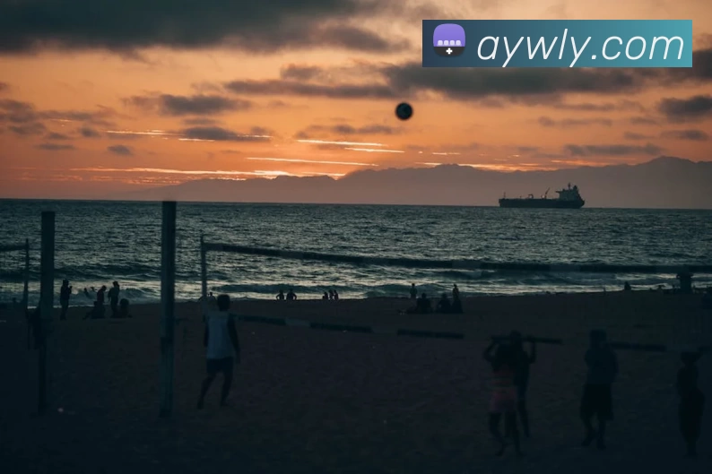 多媒体互动体验