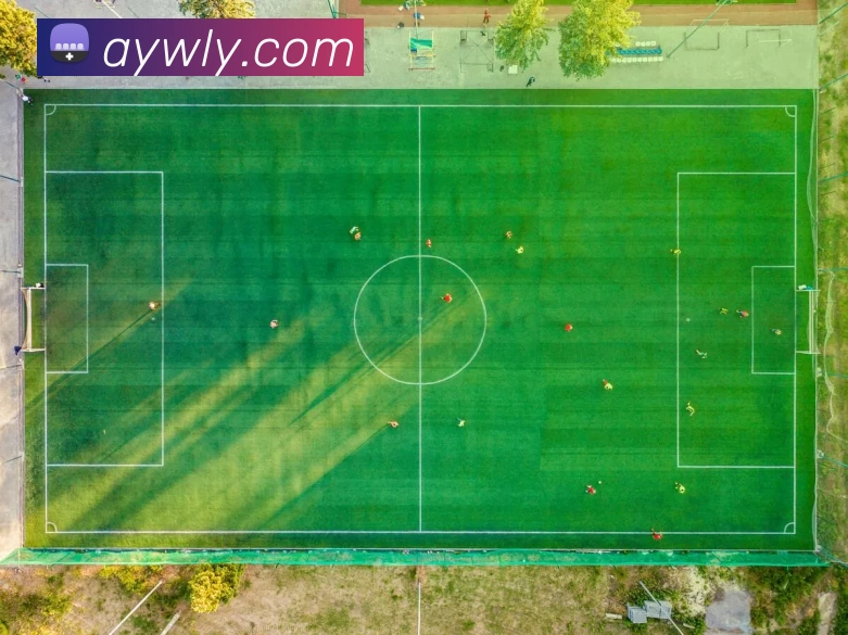 星空体育APP 高清赛事图