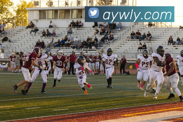 数据防护可视化